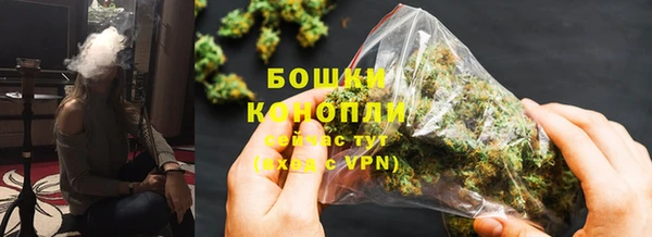 ПСИЛОЦИБИНОВЫЕ ГРИБЫ Абаза