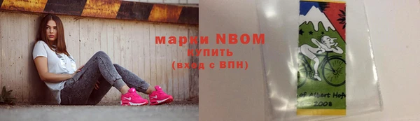 ПСИЛОЦИБИНОВЫЕ ГРИБЫ Абаза