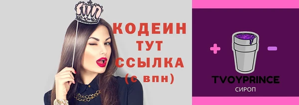 ПСИЛОЦИБИНОВЫЕ ГРИБЫ Абаза