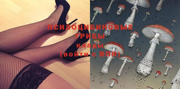 ПСИЛОЦИБИНОВЫЕ ГРИБЫ Абинск