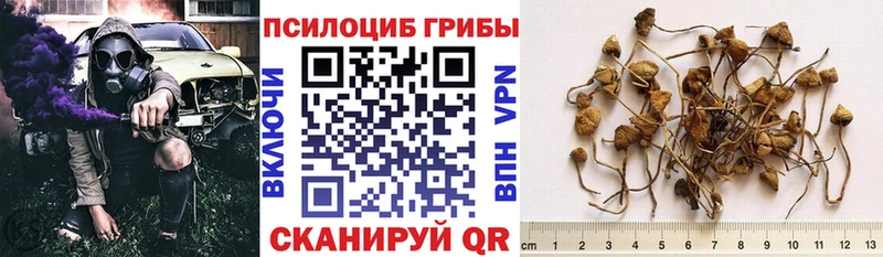 Псилоцибиновые грибы ЛСД  Сычёвка 