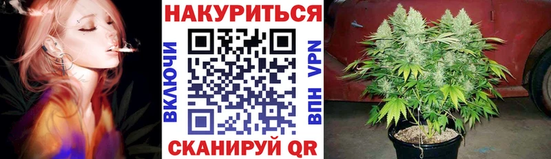Конопля Bruce Banner  Сычёвка 